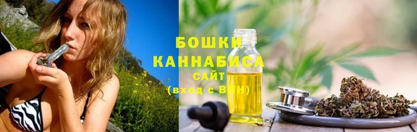 ГАЛЛЮЦИНОГЕННЫЕ ГРИБЫ Горнозаводск