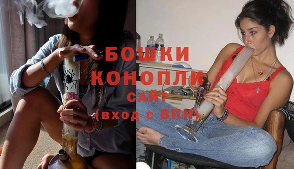 молекула духа Гусев