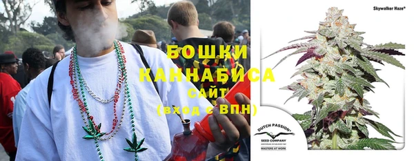 молекула духа Гусев