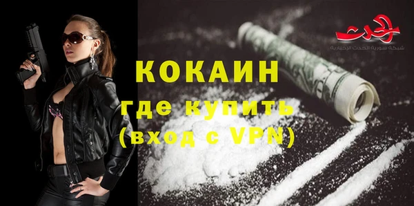 молекула духа Гусев