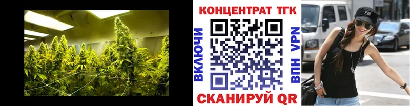 ТГК концентрат  это клад  Нефтегорск  kraken вход 