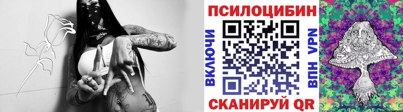 Галлюциногенные грибы Psilocybe гидра вход Нефтегорск дарк нет формула купить наркотики сайты