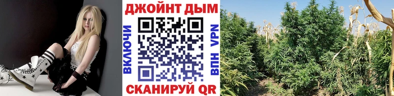 ОМГ ОМГ ССЫЛКА  Нефтегорск  площадка клад  Марихуана Bruce Banner 